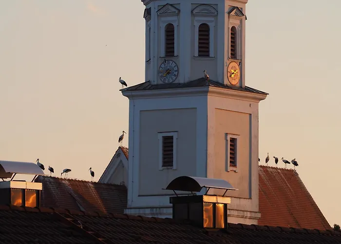 Storchenblick Appartamento